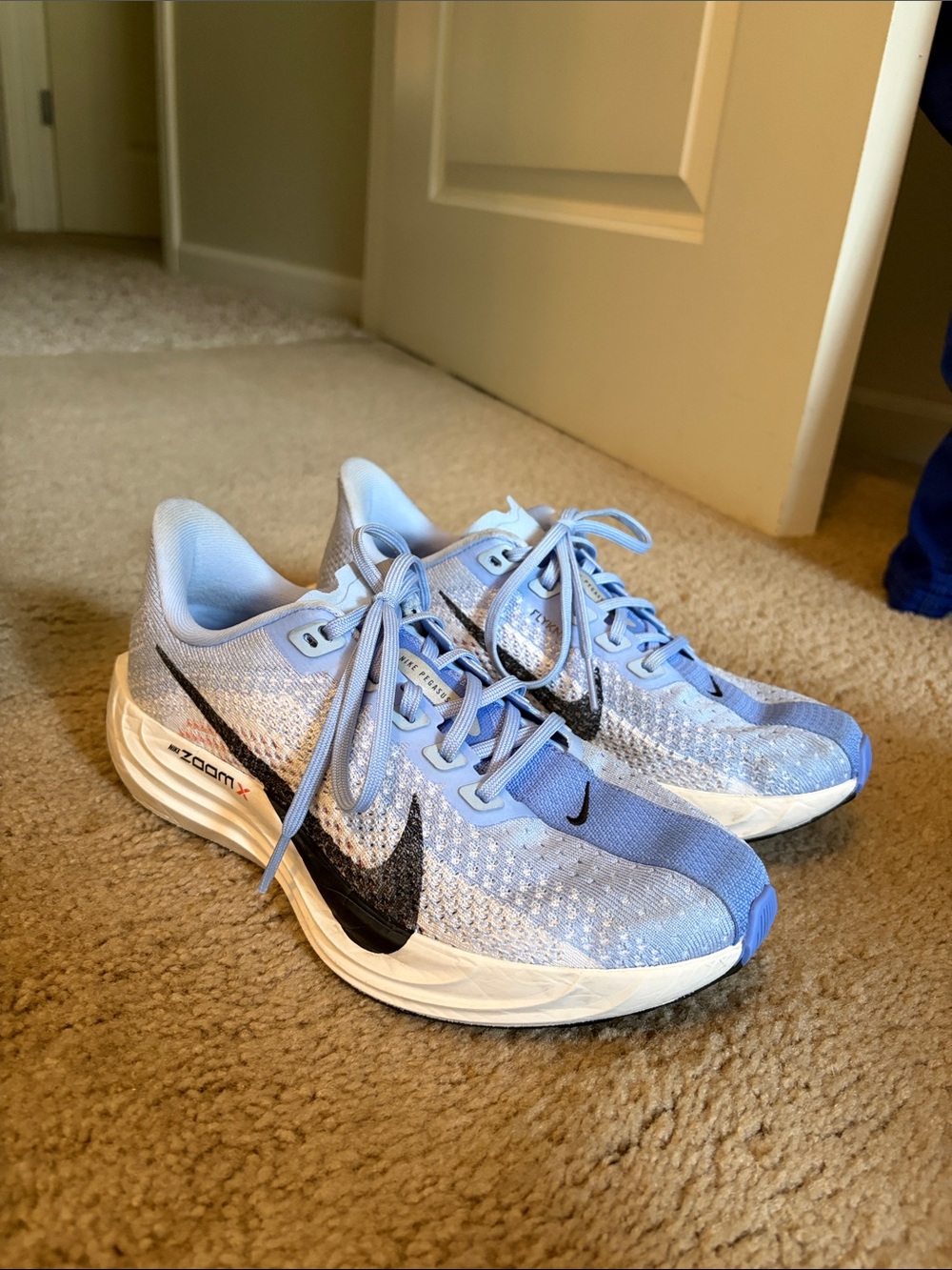 Nike Women's Pegasus Plus Running Shoe